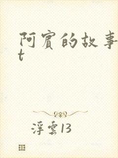 阿宾的故事txt