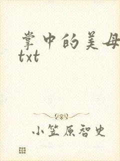 掌中的美母版主txt