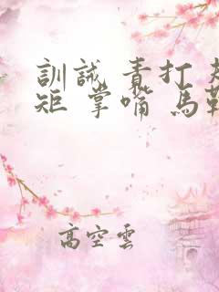 训诫 责打 规矩 掌嘴 马鞭