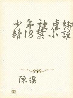 少年被虐绑着榨精18禁小说