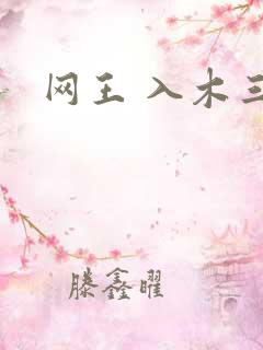 网王 入木三分