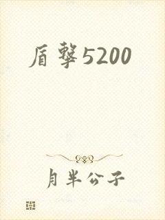 盾击5200