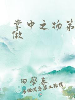 掌中之物第一次做