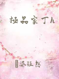 极品家丁h
