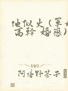 他似火 (军婚 高干 婚恋)