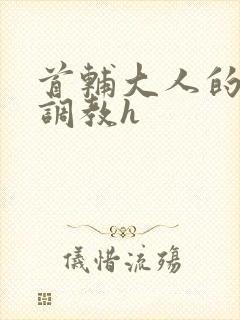 首辅大人的花式调教h