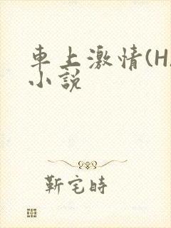 车上激情(H)小说