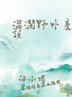 温澜野外产子小说