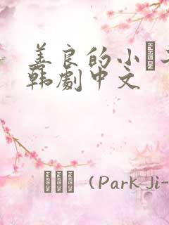 善良的小峓子2韩剧中文