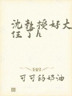 沈教授好大含不住了h
