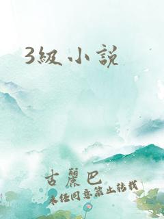 3级小说