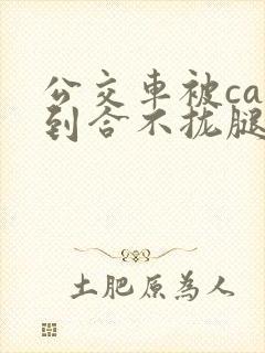 公交车被cao到合不拢腿视频