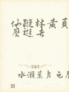 仙踪林黄页网怎么进去