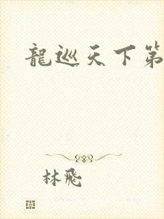 龙巡天下第四部