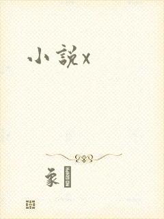 小说x