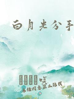 白月光分手日常