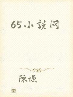 65小说网