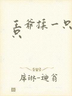 王爷揉一只舔一只