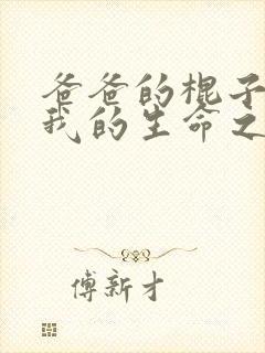 爸爸的棍子顶着我的生命之苏苗