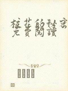 校花的秘密小说免费阅读