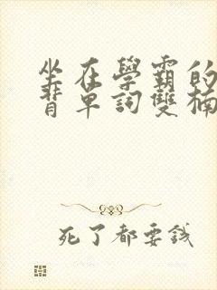 坐在学霸的棍子背单词双楠