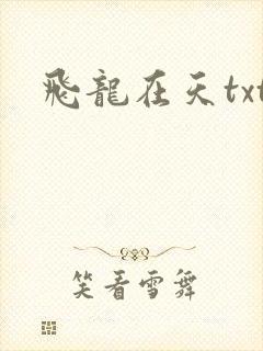 飞龙在天txt