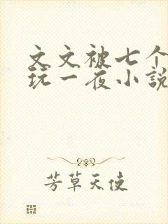文文被七个男人玩一夜小说