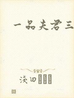 一品夫君三流妻