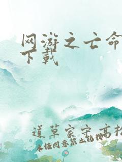 网游之亡命天涯下载