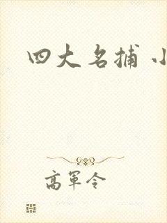 四大名捕 小说