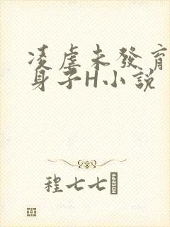 凌虐未发育的小身子H小说