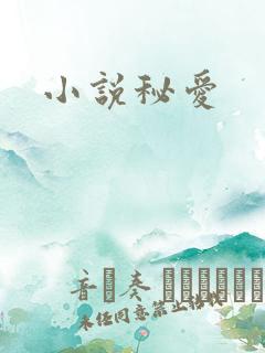 小说秘爱