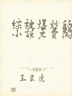 综被爆炒的日常小说免费阅读