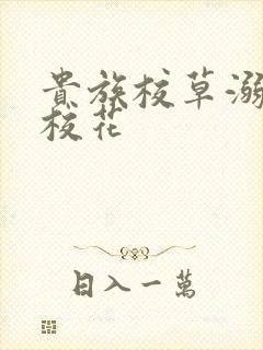 贵族校草溺爱拽校花