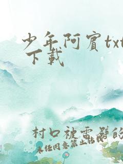 少年阿宾txt 下载