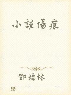 小说伤痕