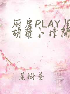 厨房PLAY用胡萝卜撑开男男