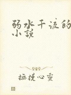 弱水千流的全部小说