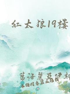 红太狼19楼