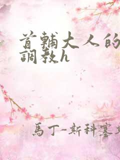 首辅大人的花式调教h