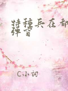 特种兵在都市无弹窗