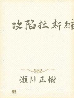 攻陷拉斯维加斯