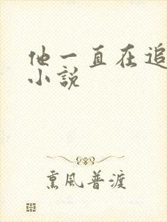 他一直在追初恋小说