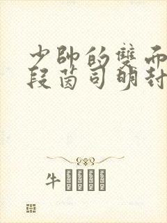 少帅的双面宠妻段茵司明封免费