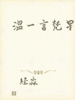 温一言梵星小说