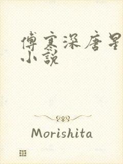 傅寒深唐星挽的小说