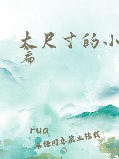 大尺寸的小说短篇