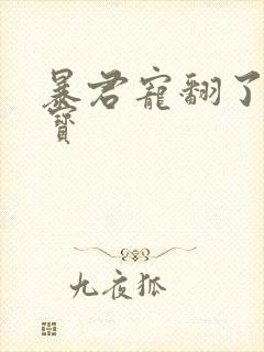 暴君宠翻了小娇宝