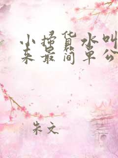 小扫货水叫不出来最简单公交车上