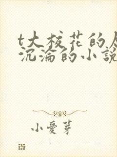 t大校花的屈辱沉沦的小说